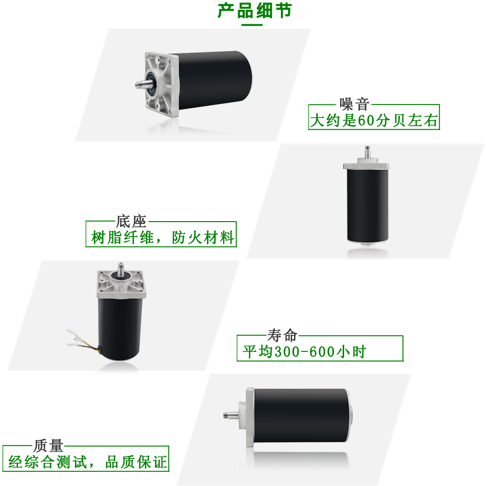 垃圾處理器直流電機